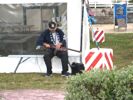 Cliquer pour agrandir